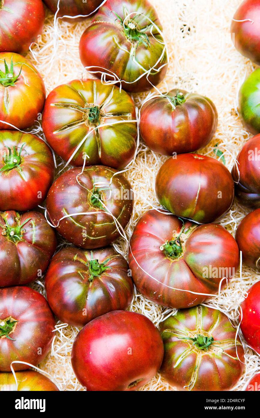 Tomatoes, old varieties Stock Photo Alamy
