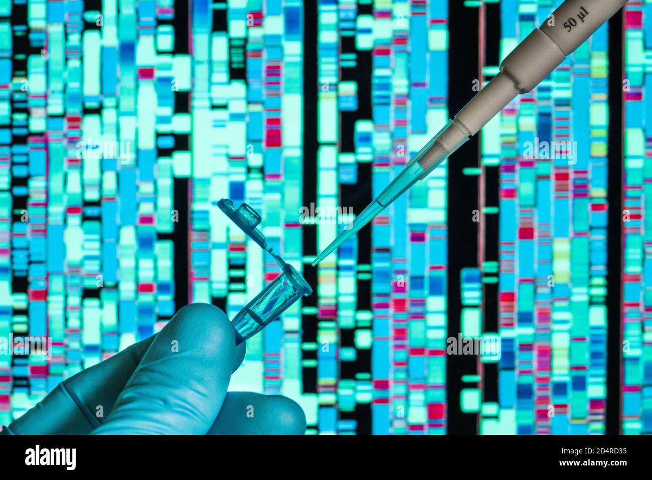 Genetic research, pipetting into a test tube sitting in front of a DNA (deoxyribonucleic acid) autoradiogram. Stock Photo