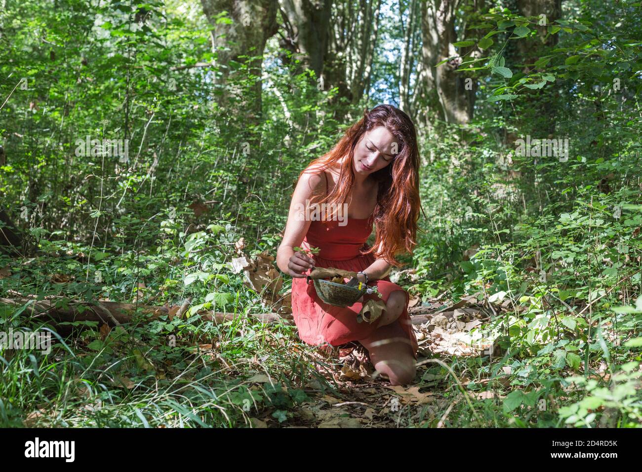 Herbal woman forest hi-res stock photography and images - Alamy