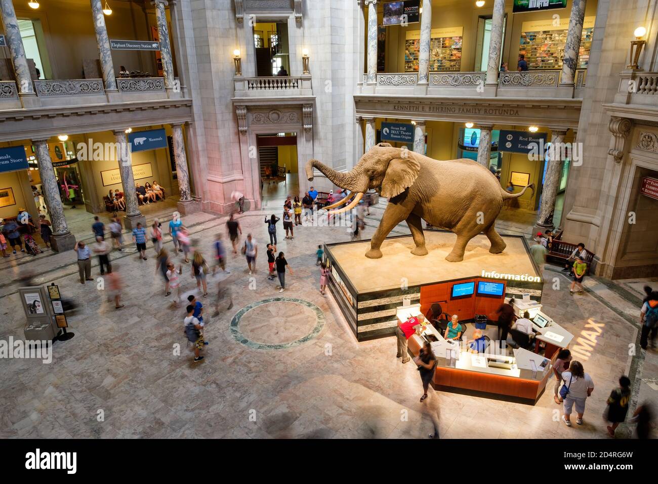 Main Hall at the National Museum of Natural History in Washington D.C. Stock Photo