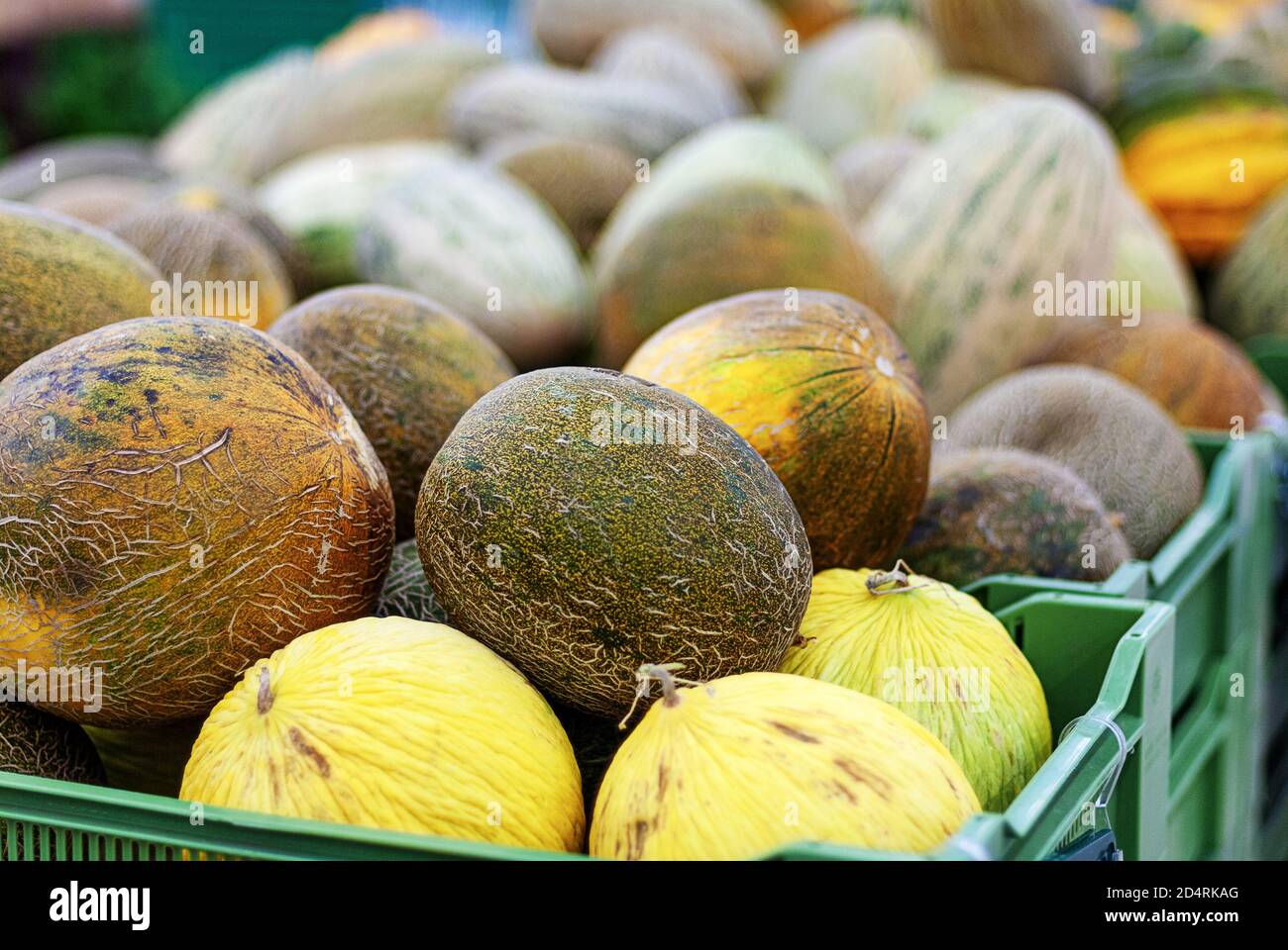 melons of different types sold in grocery store Stock Photo
