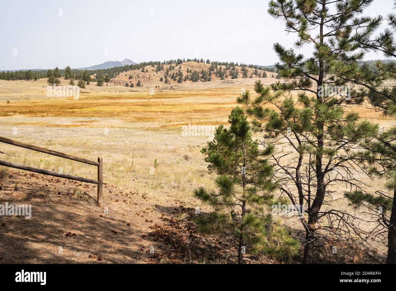 Petrified Forest Loop trail view in Florissant Fossil Beds National