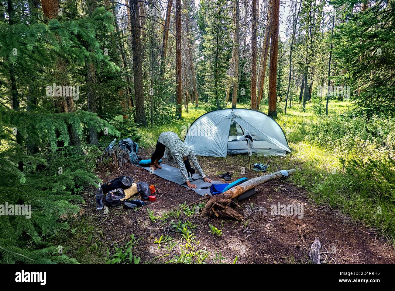 Camp walker hires stock photography and images Alamy