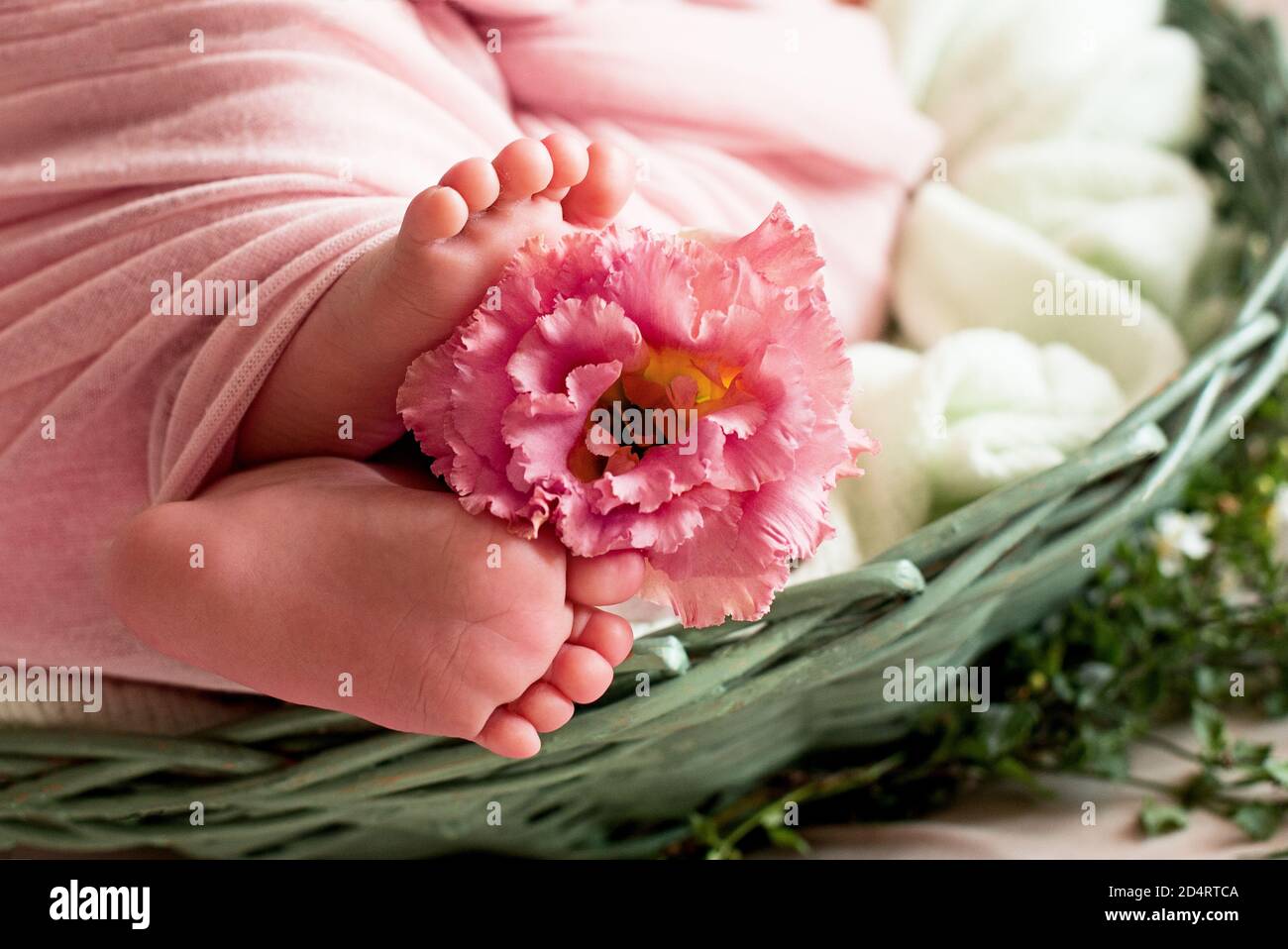 feet of the newborn baby with flower, fingers on the foot, maternal