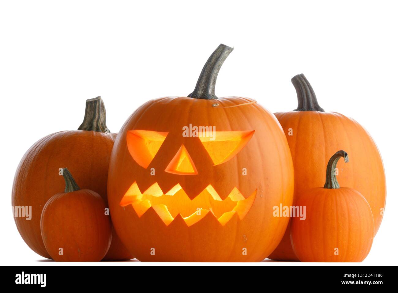 Halloween Pumpkins isolated on white background Stock Photo - Alamy
