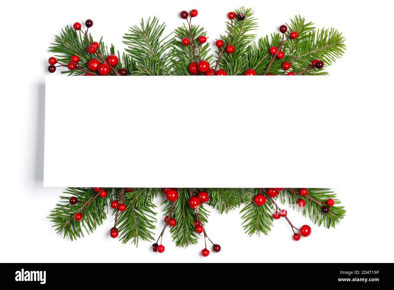 Christmas Border frame of tree branches and red berries on white ...