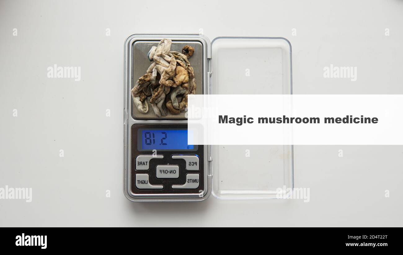 medicine and psilocybin mushrooms. Treatment and prevention of the ...