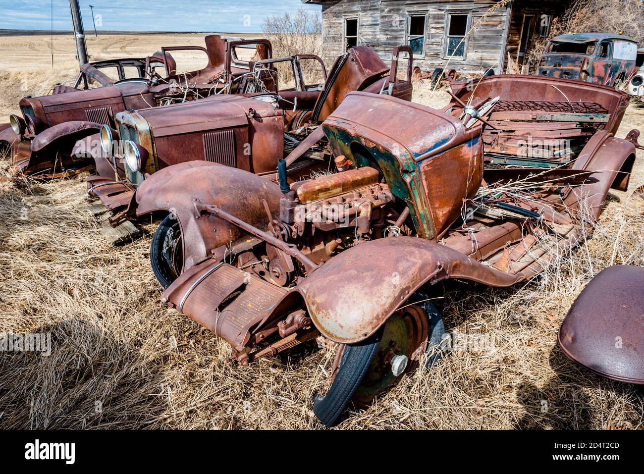 The bodies of abandoned vintage cars and trucks on the prairies in