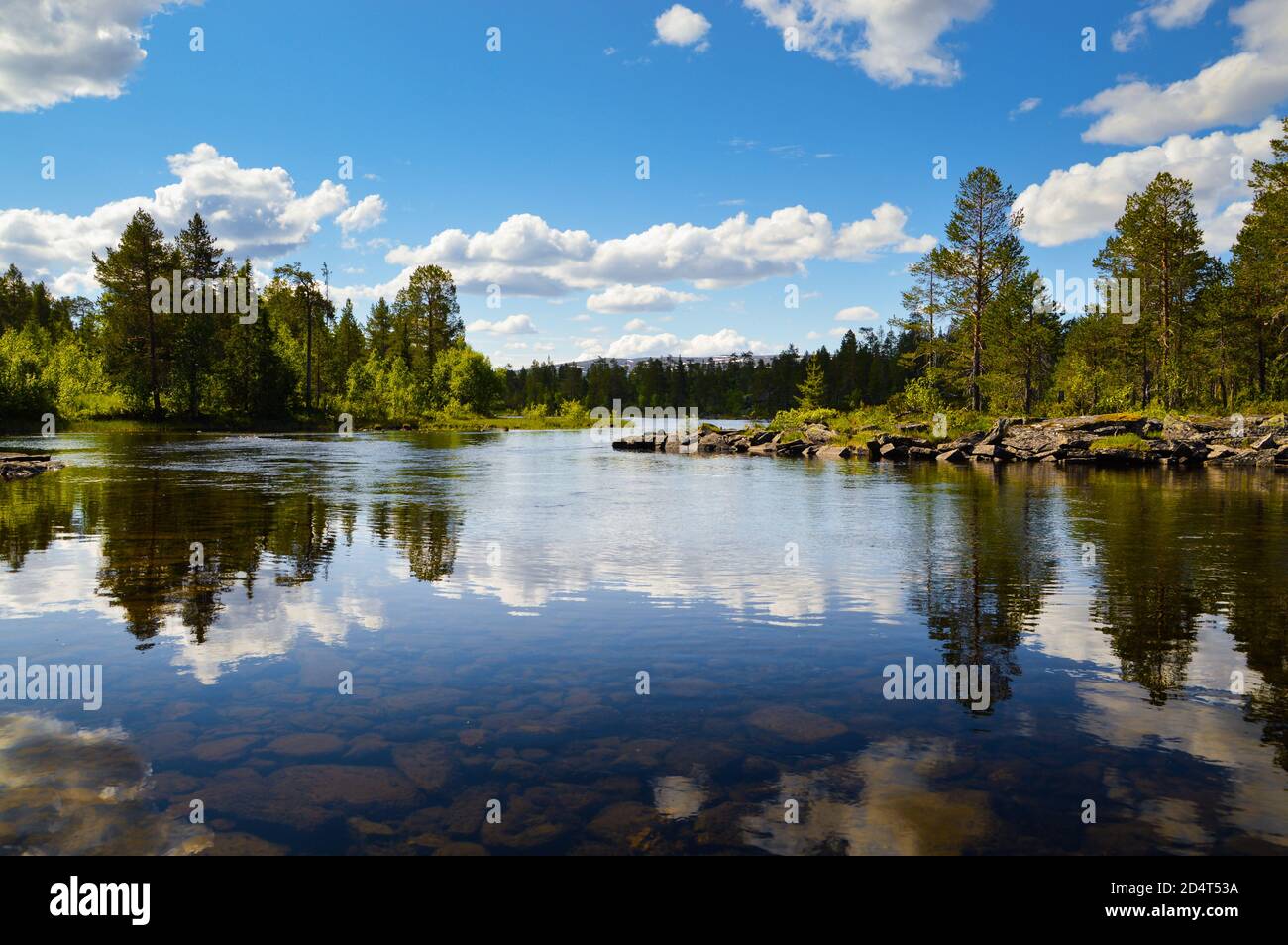 River plant wallpaper hi-res stock photography and images - Alamy