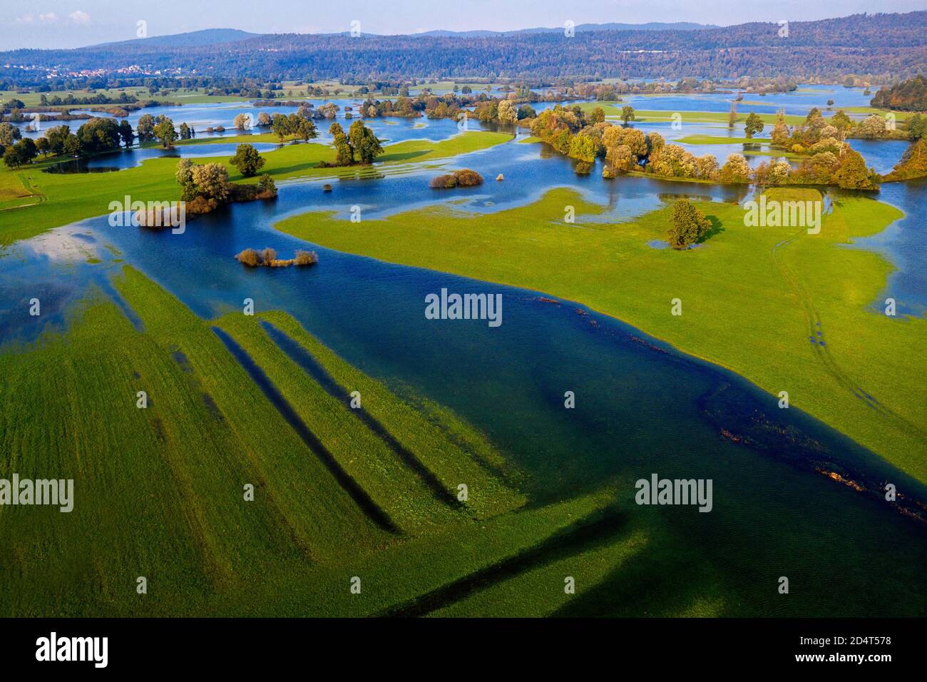 Planinsko polje intermitten lake, flooded fields with trees, Slovenia Stock  Photo - Alamy