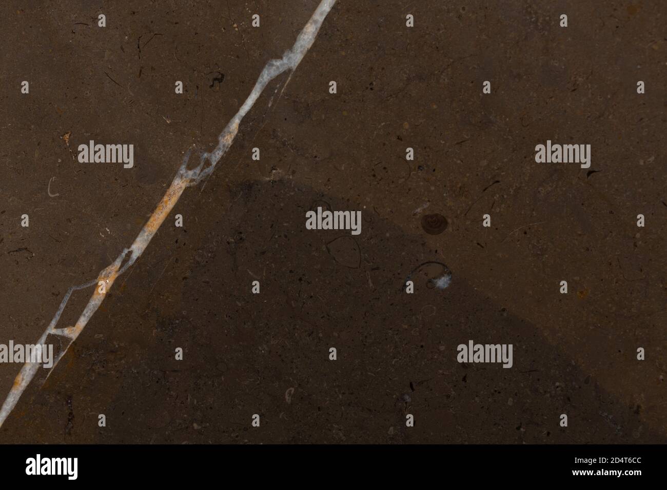 Dark brown texture for your expensive new design. Stock Photo