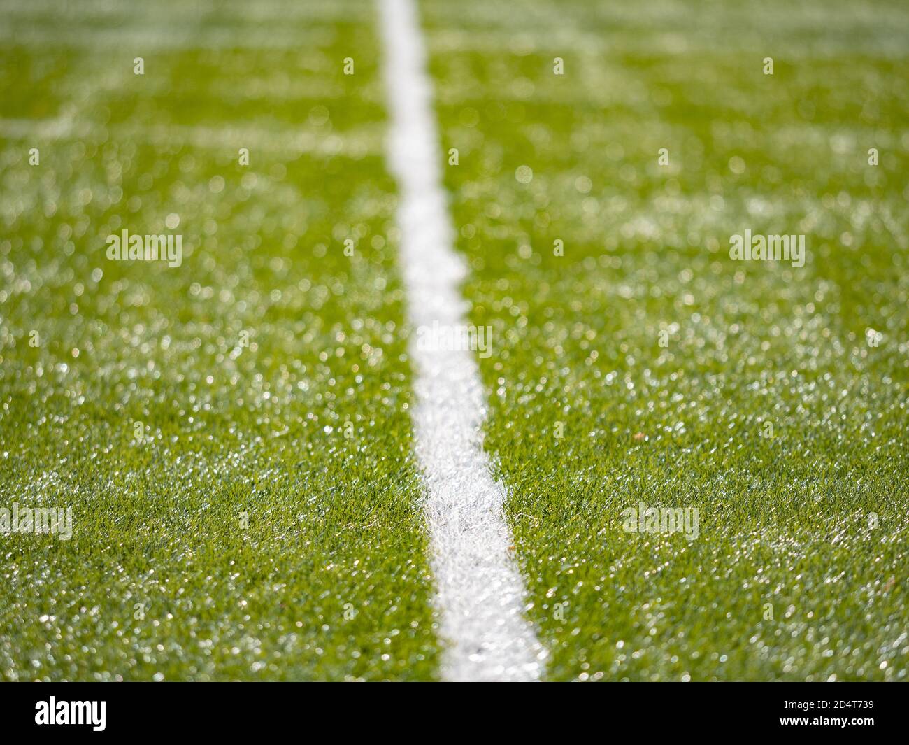 Detailed lines on soccer football field. Sun makes reflection in