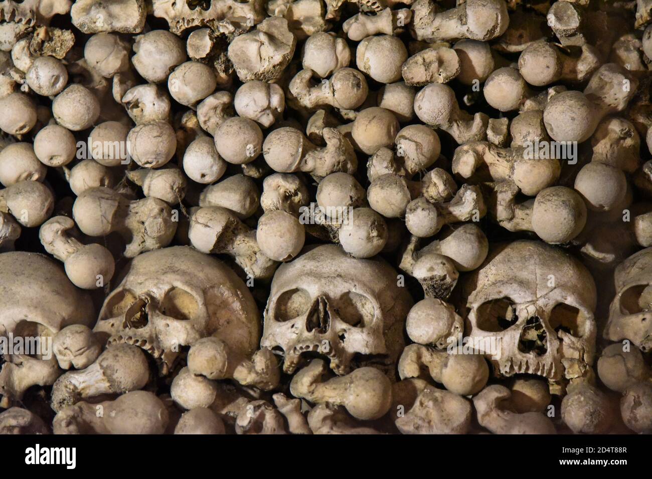 Heap of bones and skulls Stock Photo