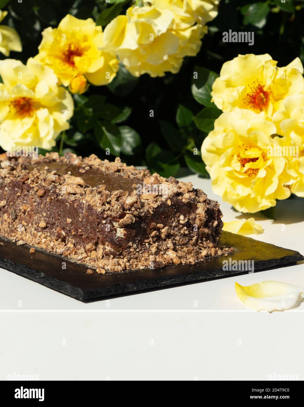 Homemade chocolate cake. Traditional Serbian cake - Cake Reform. World cuisine dessert. Stock Photo