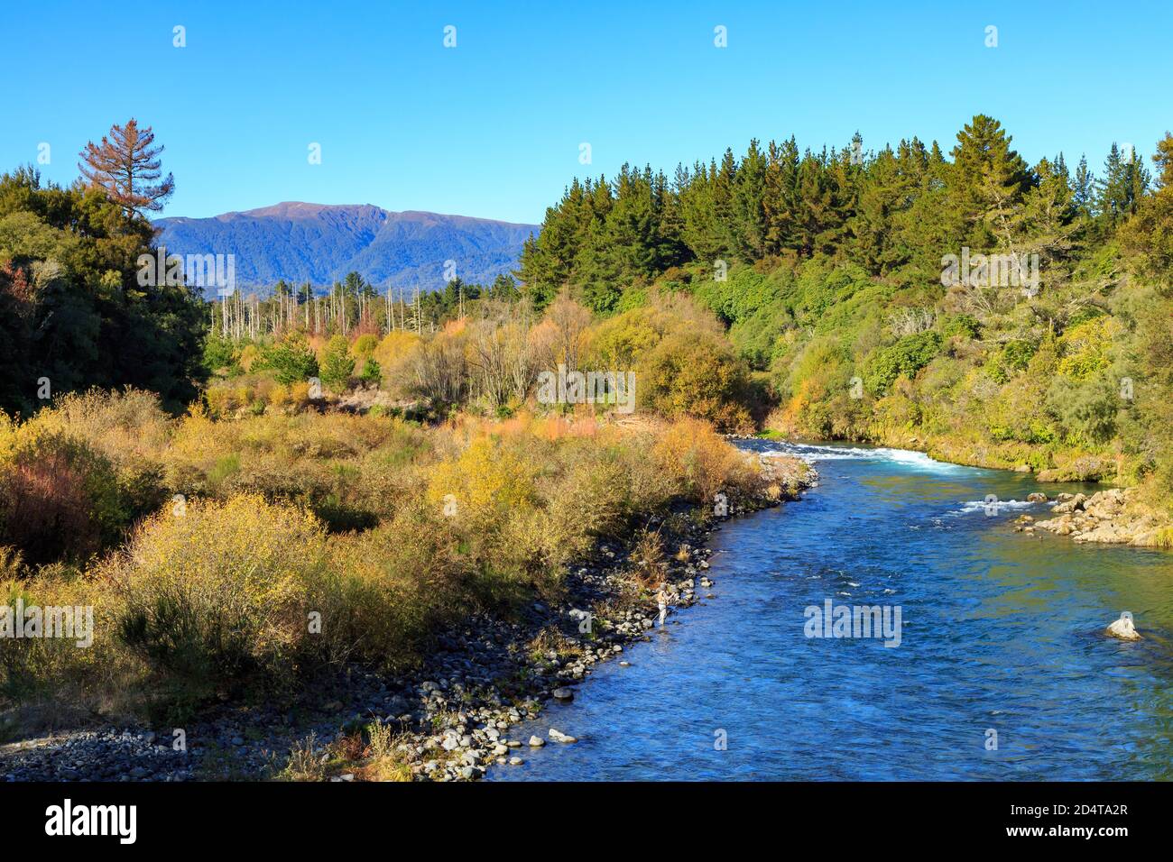 The Tongariro River, New Zealand, in autumn. Photographed at Red Hut Pool, a popular trout fishing spot Stock Photo