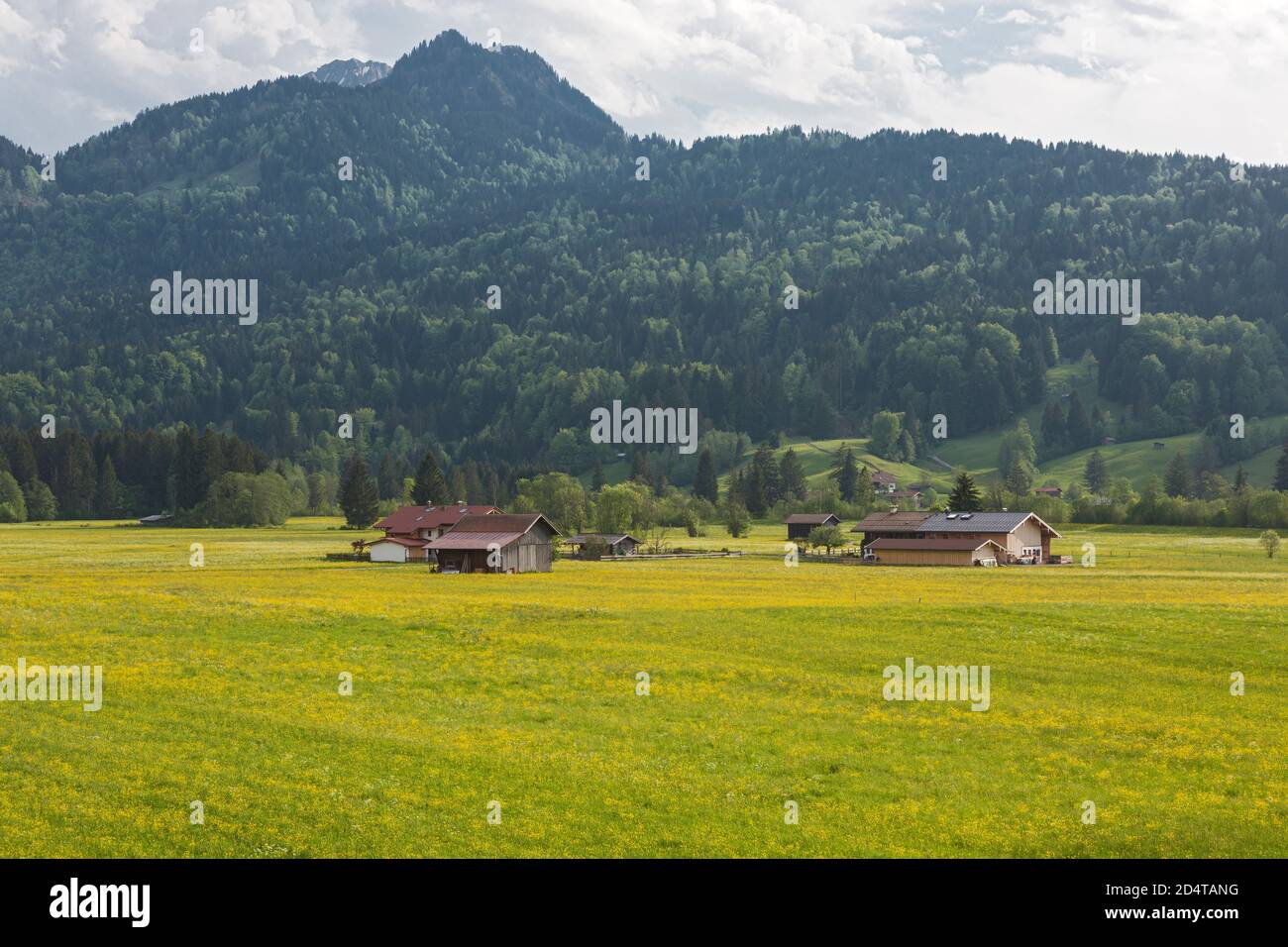 Allgäu, Oberstdorf, Wiesen, Berge, Häuser Stock Photo