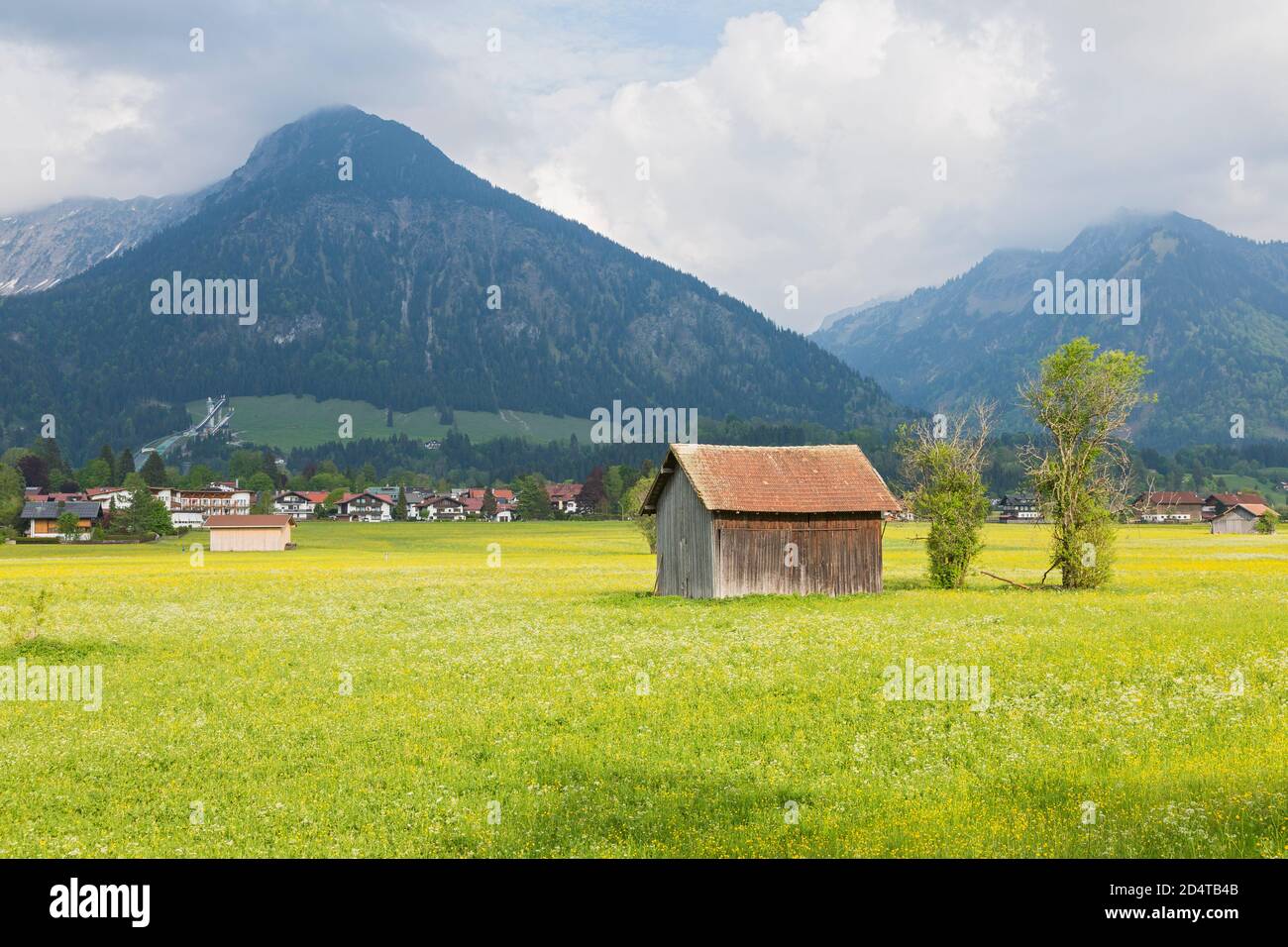 Allgäu, Oberstdorf, blühende Wiesen, Häuser, Berge, Wolken Stock Photo