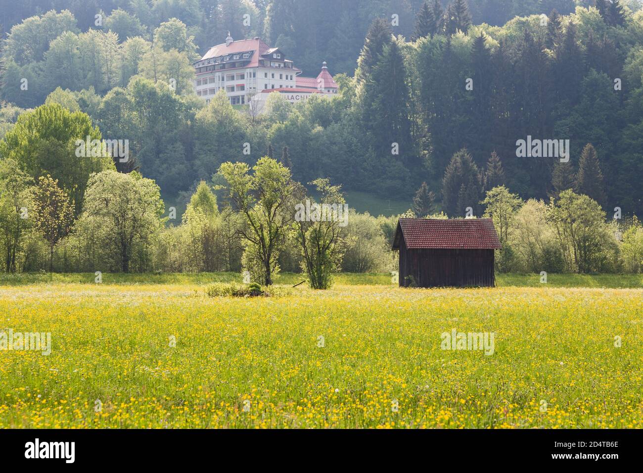 Allgäu, Oberstdorf, blühende Wiesen, Wald, Scheune, Stillachhaus Stock Photo