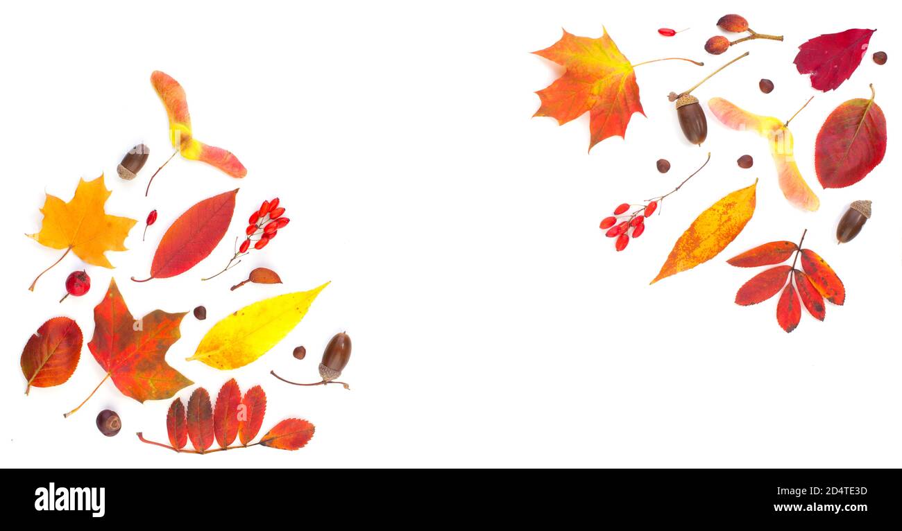 Fall composition border with autumn leaves isolated on white Stock ...