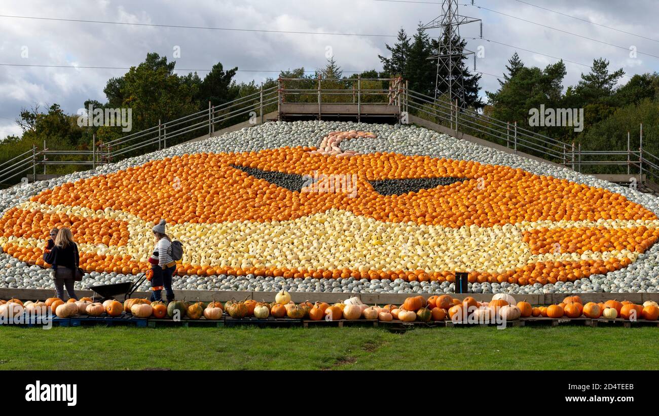 Totton, UK, 10 Oct, 2020. Pictured Pumpkin pickers admire the mural