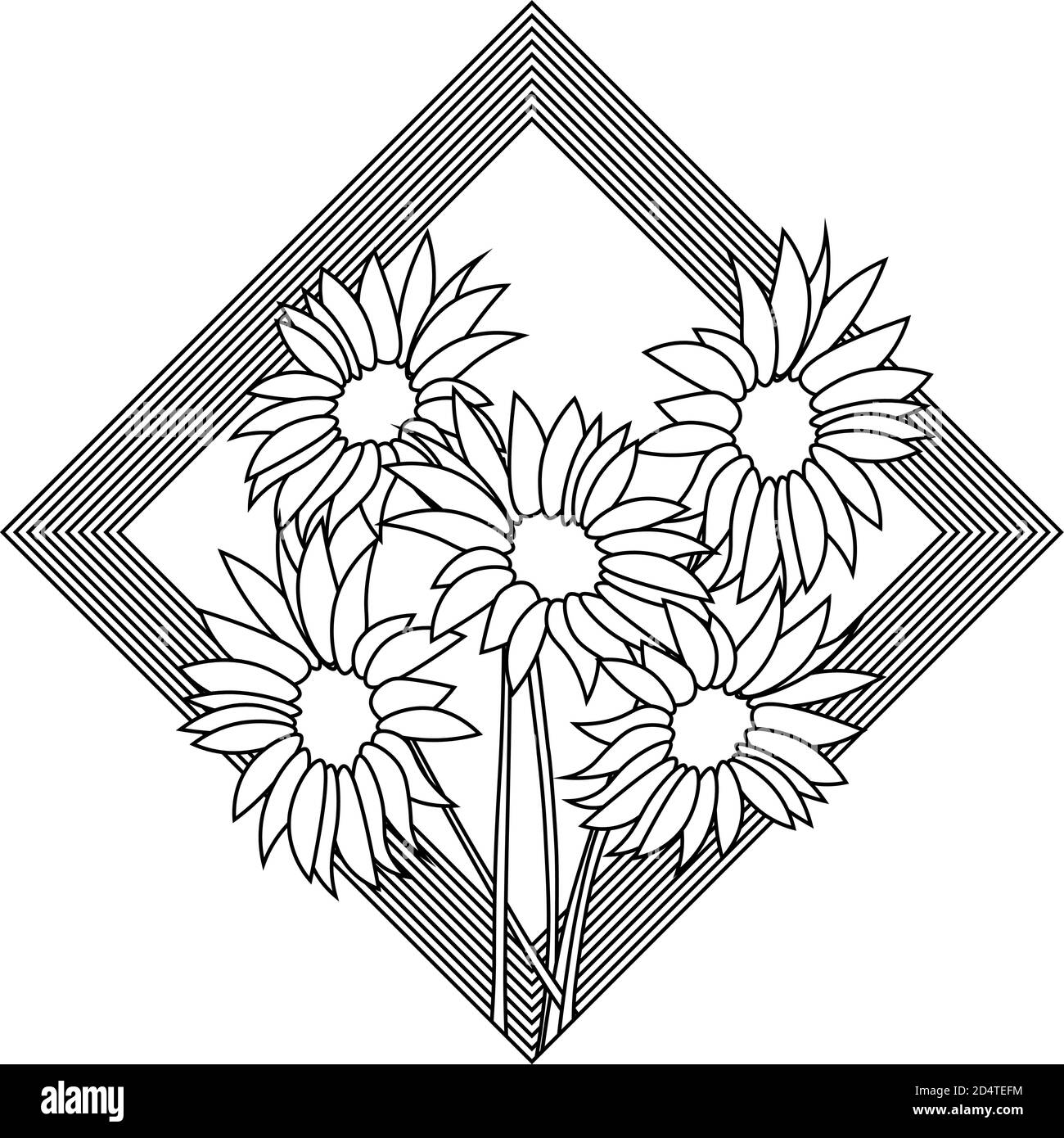 Sunflower field in summer black and white Stock Vector Images Alamy