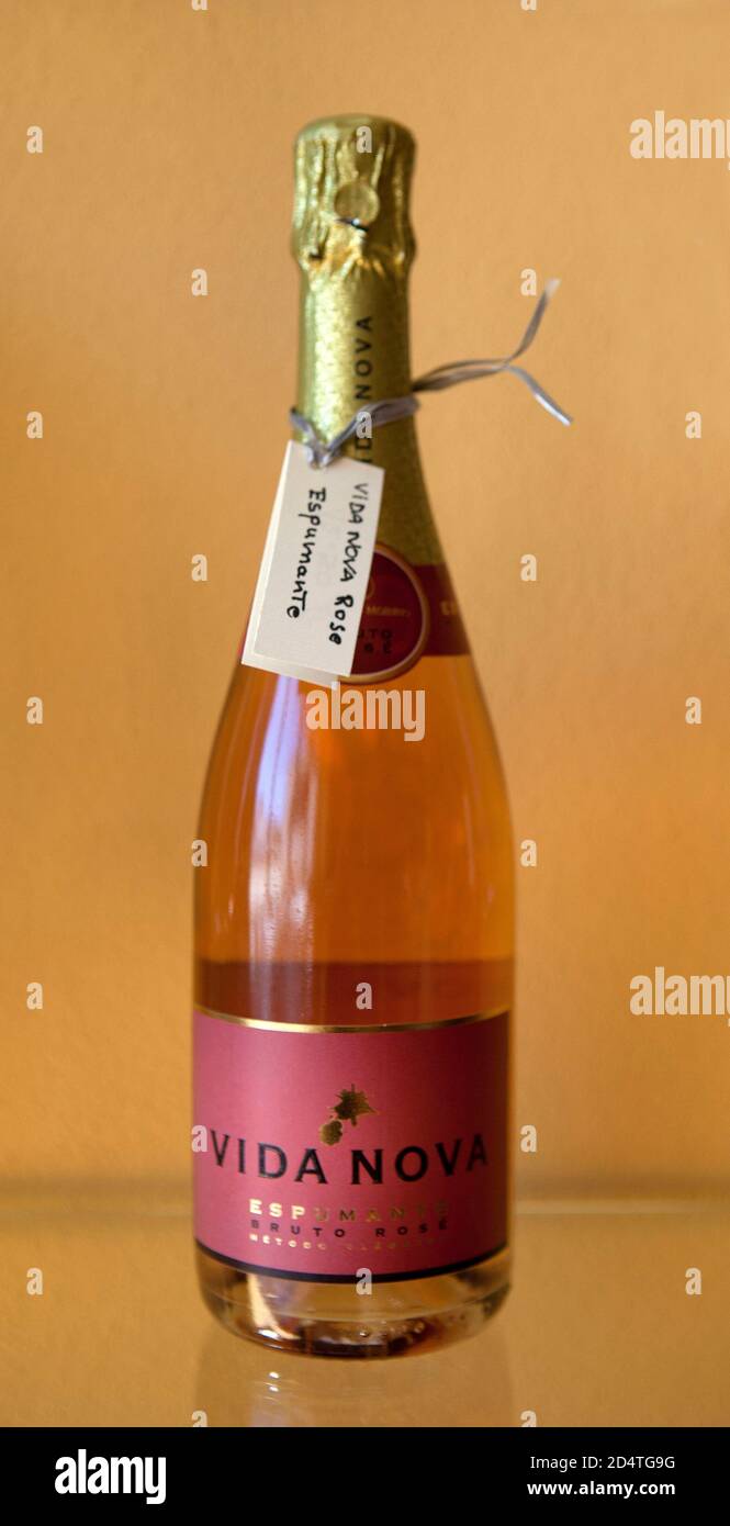 Cliff Richard's winery Adega Do Cantor in Guia,Algarve,Portugal: Vida Nova rose Stock Photo