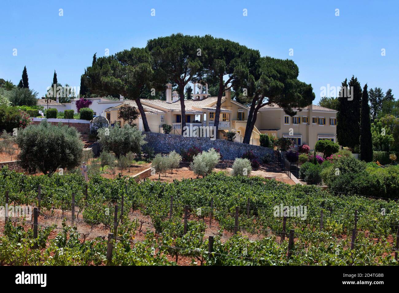 Cliff Richard's winery Adega Do Cantor in Guia,Algarve,Portugal.Cliff's own wineyard and home at Quinta do Moinho Stock Photo