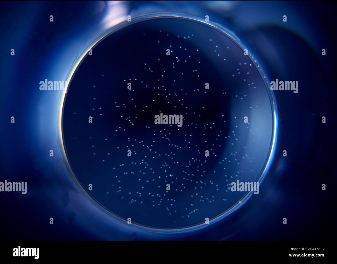 Abstract circle on black background. Sphere in the dark. Stock Photo