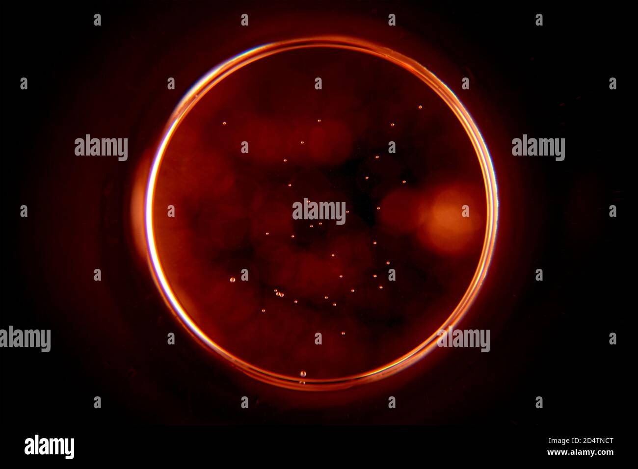 Abstract circle on black background. Sphere in the dark. Stock Photo