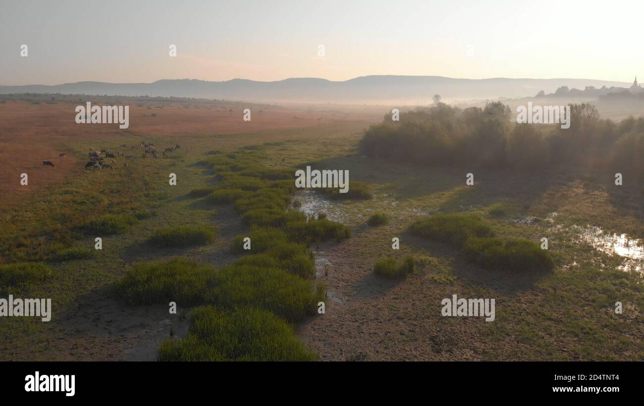 Squishy area of land on the meadow. Stock Photo