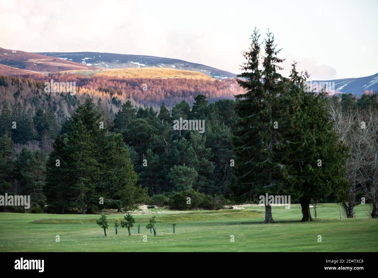 Ballater Golf Course Stock Photo - Alamy