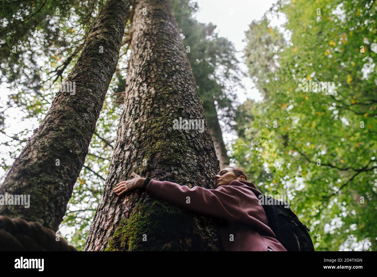 Emotional tired woman hugging tall tree in a mountain forest. Upward shot Stock Photo
