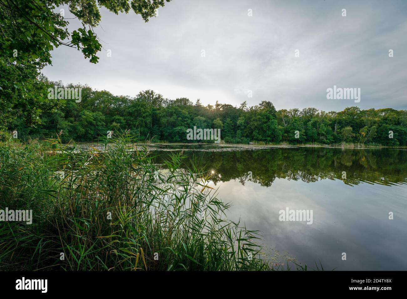 Sunset at Lake Lochow near Ferchesar at nature reserve Westhavelland in Brandenburg, Germany Stock Photo