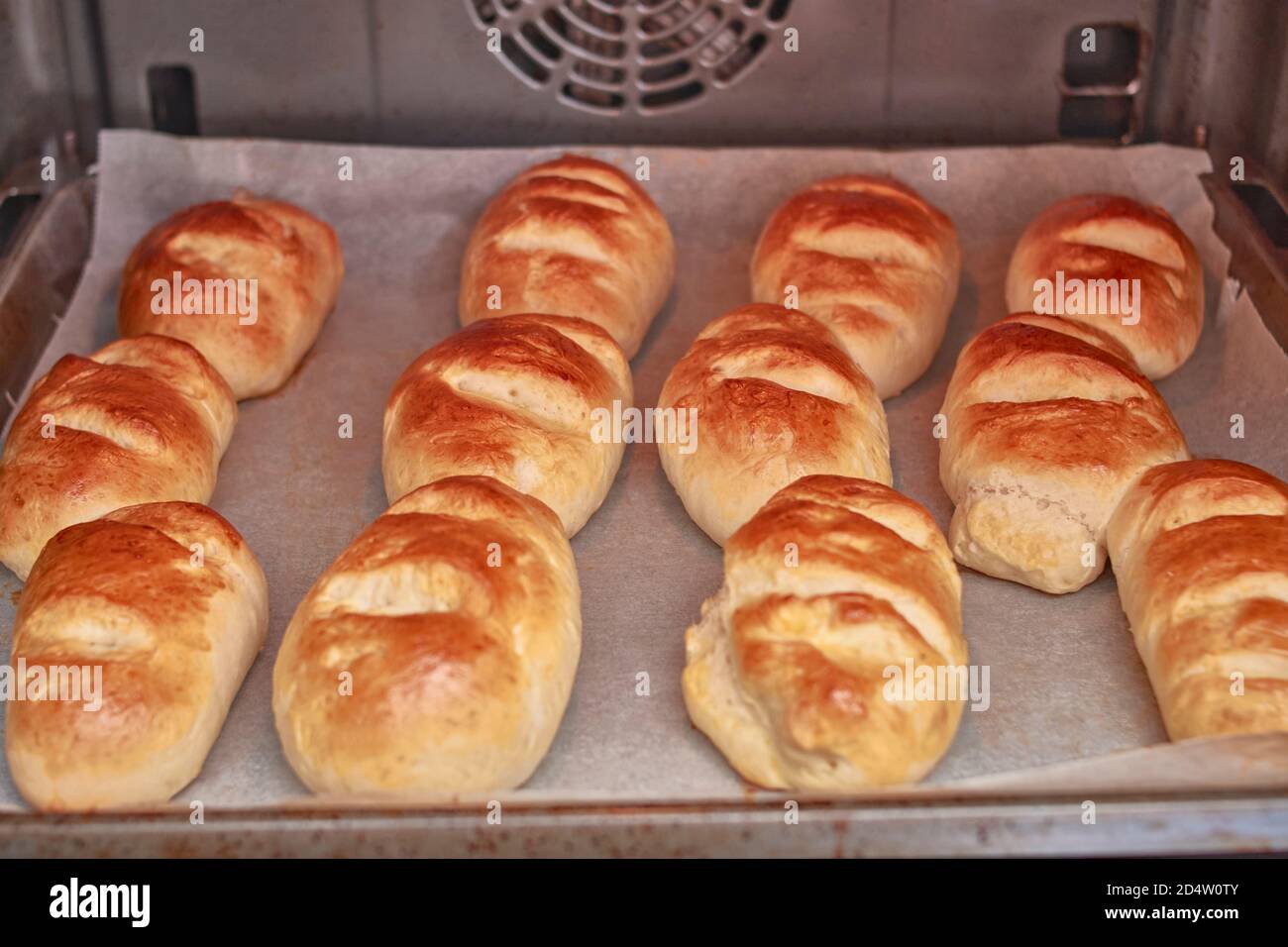 Delicious milk bread buns baking and browning in a home oven Stock Photo