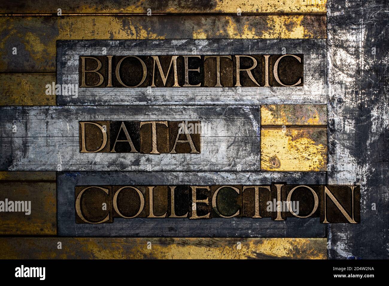 Biometric Data Collection text message on textured grunge copper and ...