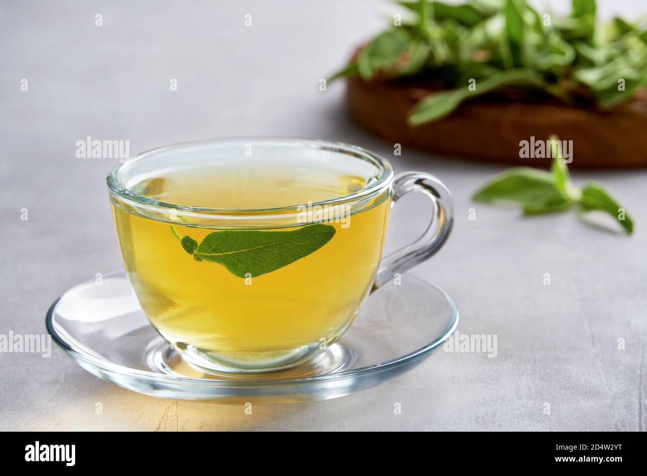 Fresh natural sage herbal tea in glass cup Stock Photo