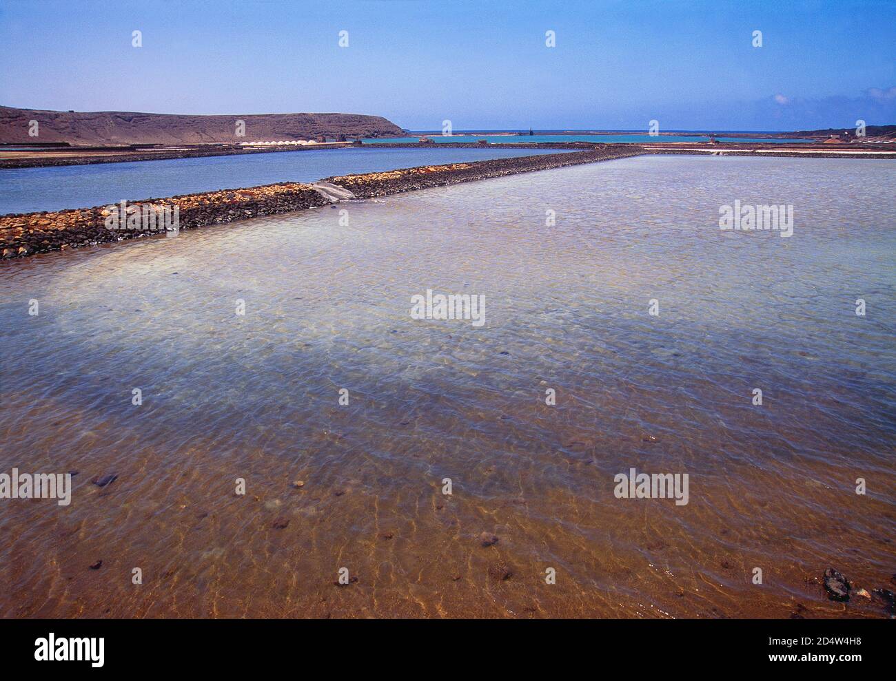 Ponds. Salinas de Janubio Nature Reserve, Lanzarote, Canary Islands, Spain. Stock Photo