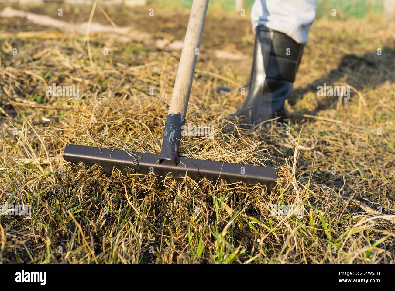 Farmer raking grass hires stock photography and images Alamy