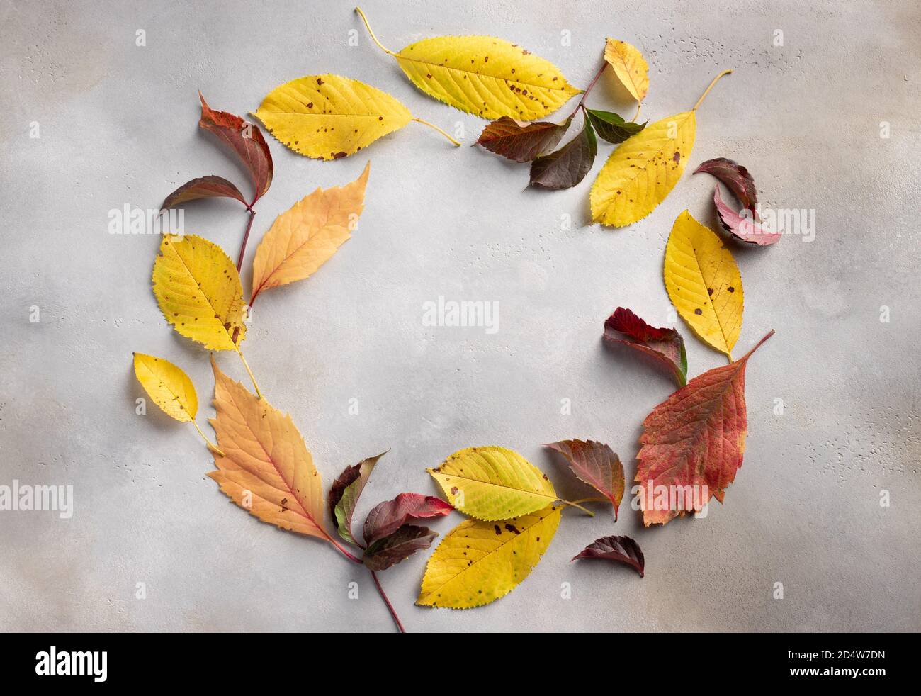 round frame made of leaves of different colors on a gray concrete background Stock Photo