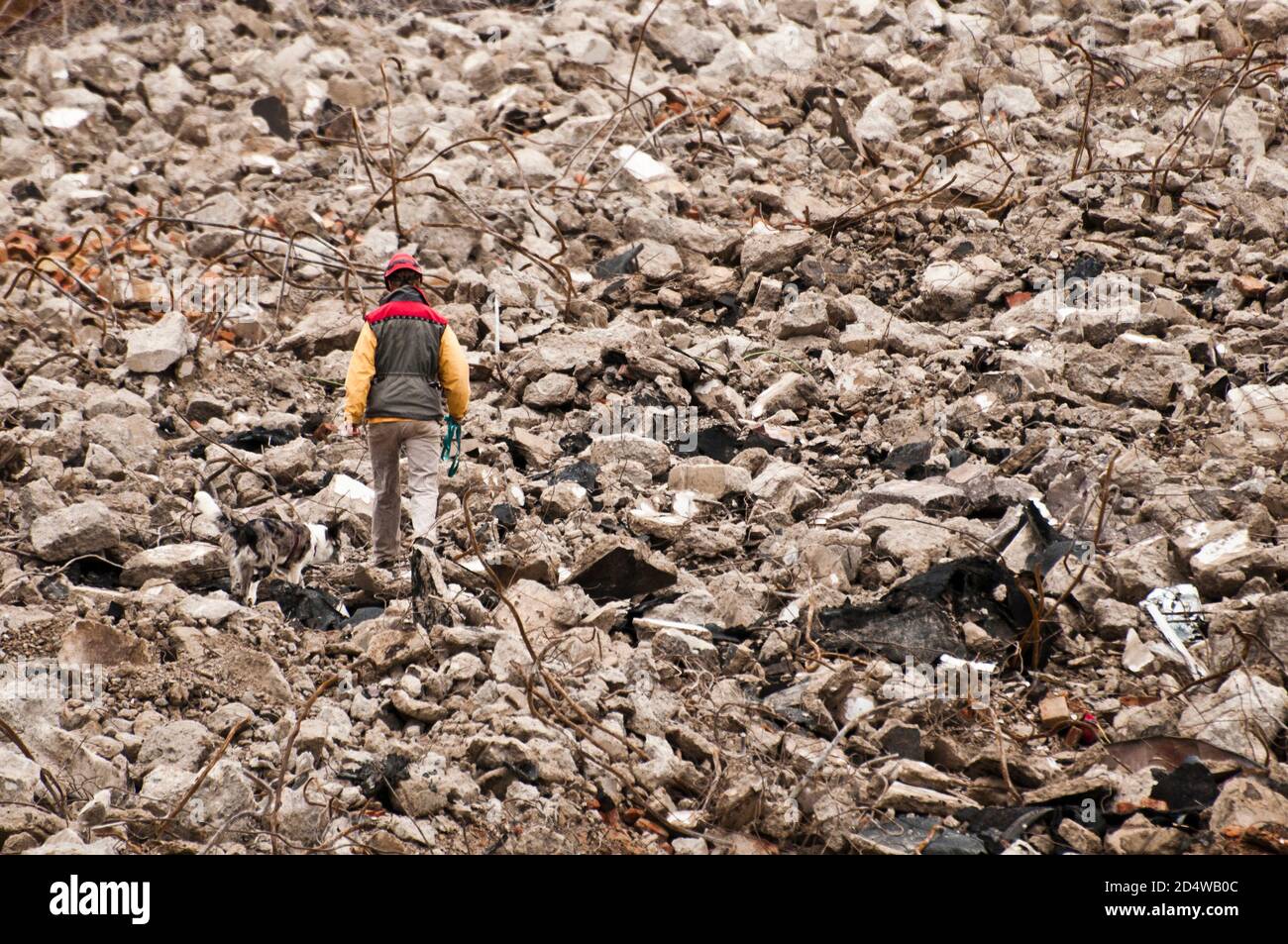 training dog for search and rescue missions Stock Photo