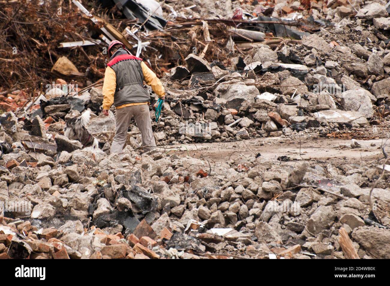 training dog for search and rescue missions Stock Photo