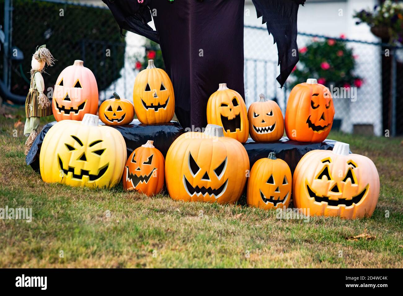 Scary Halloween pumpkins decoration outdoor at day close up Stock Photo