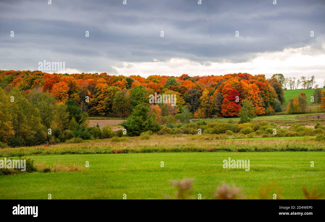 Wisconsin farmland and colorful forrest in October, horizontal Stock ...