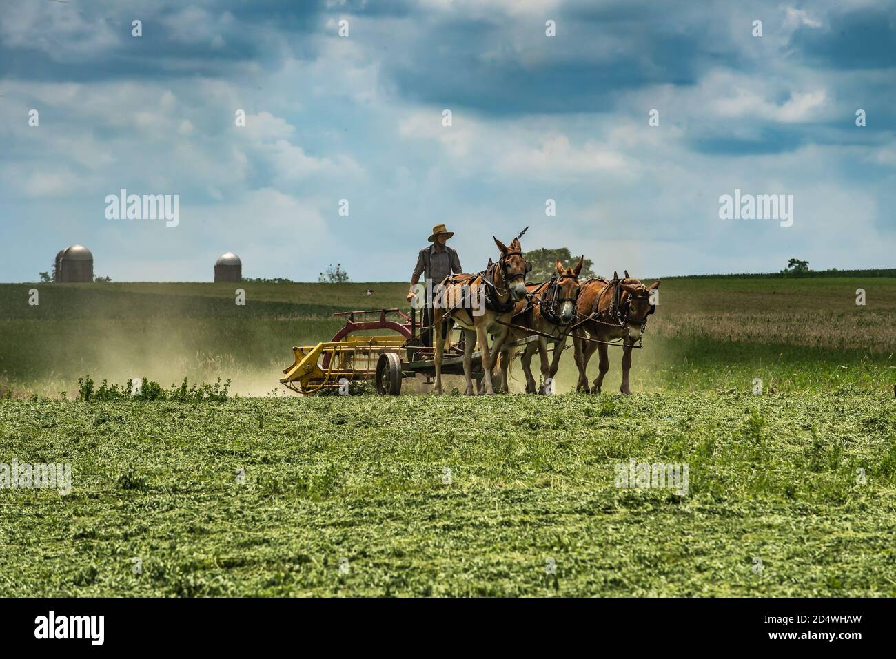 Amish, Lancaster county, PA