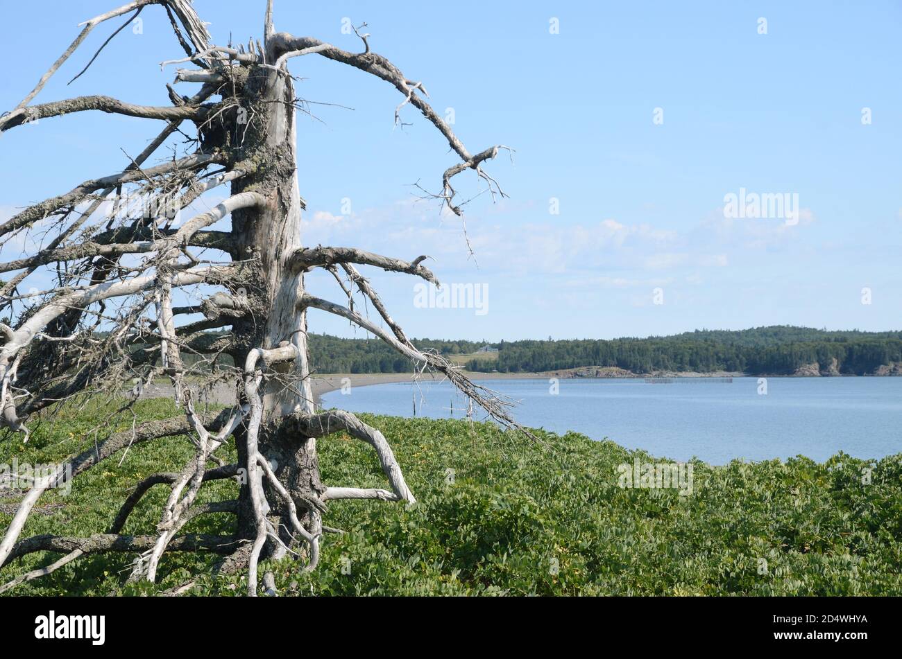 Herring Cove, Campobello Island, Canada Stock Photo Alamy
