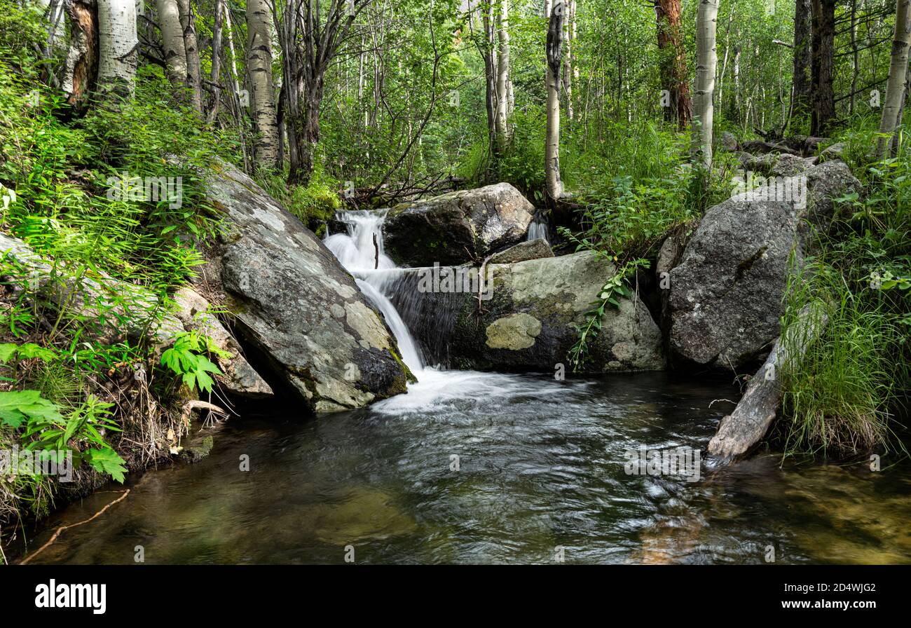 Cool Stream in the Colorado Rockies Stock Photo