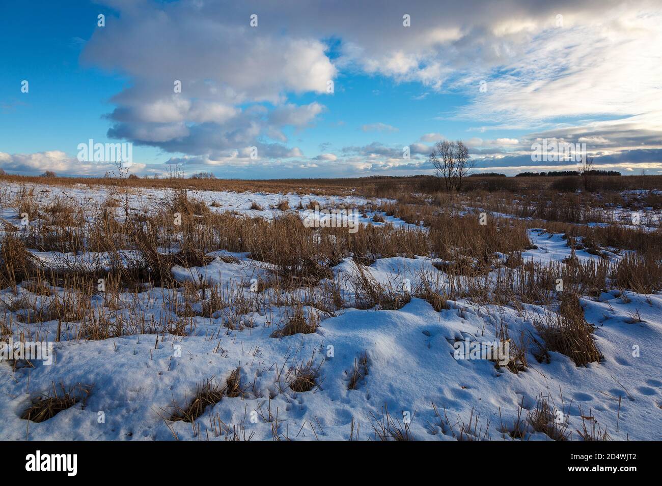 Winter snow-covered field and blue sky with clouds Stock Photo - Alamy