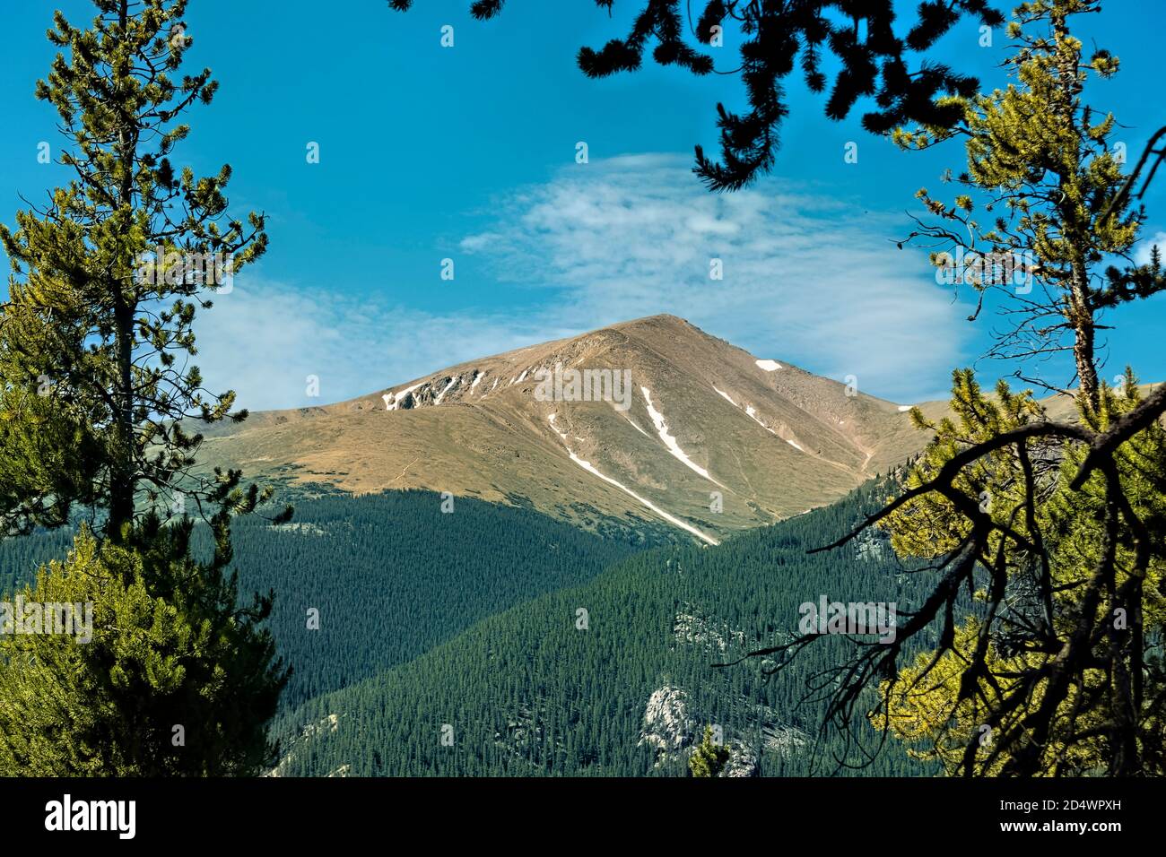 View of Mount Elbert highest peak in Colorado second highest in
