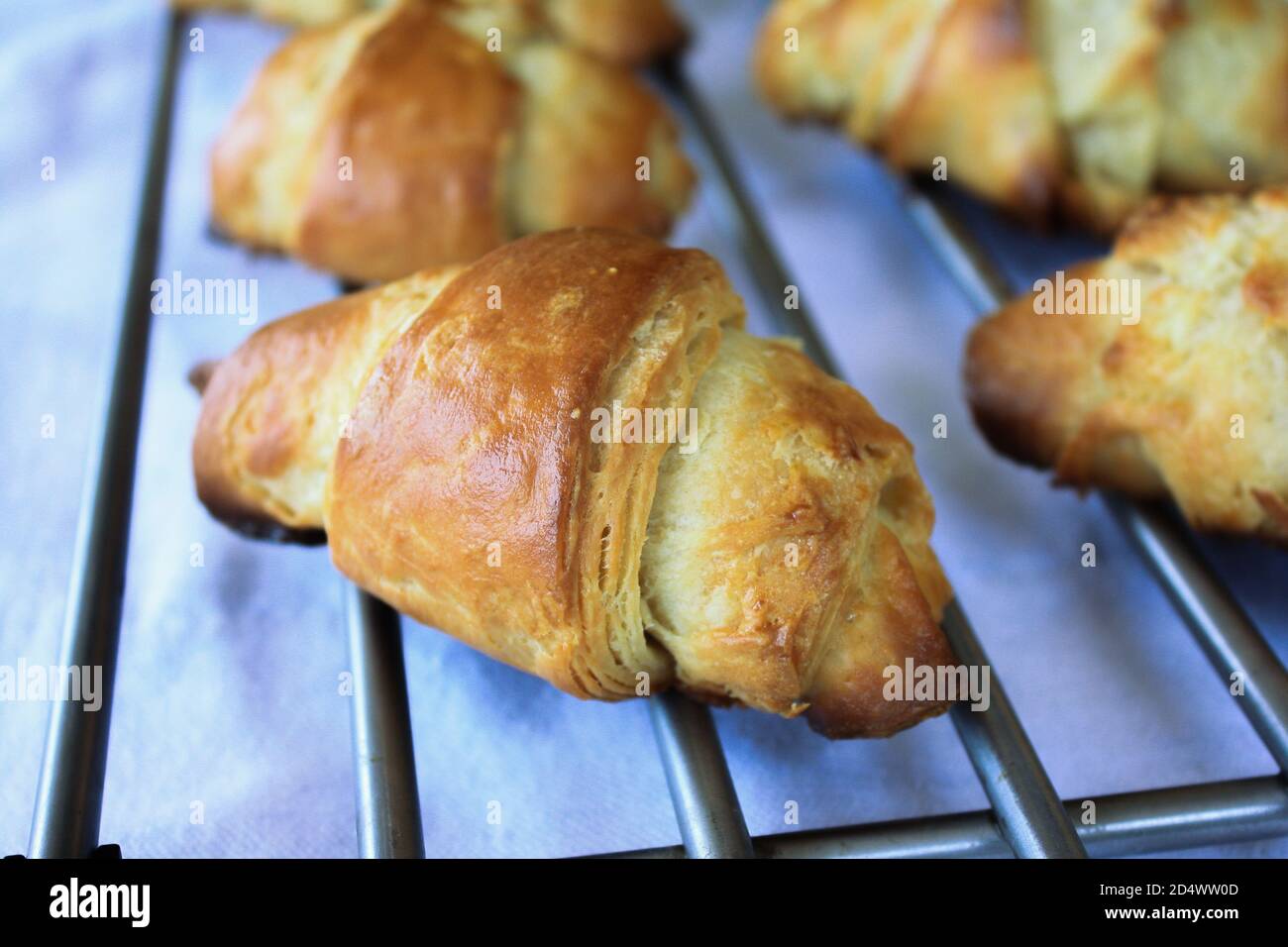 Croissants on a baking rack with one in focus Stock Photo