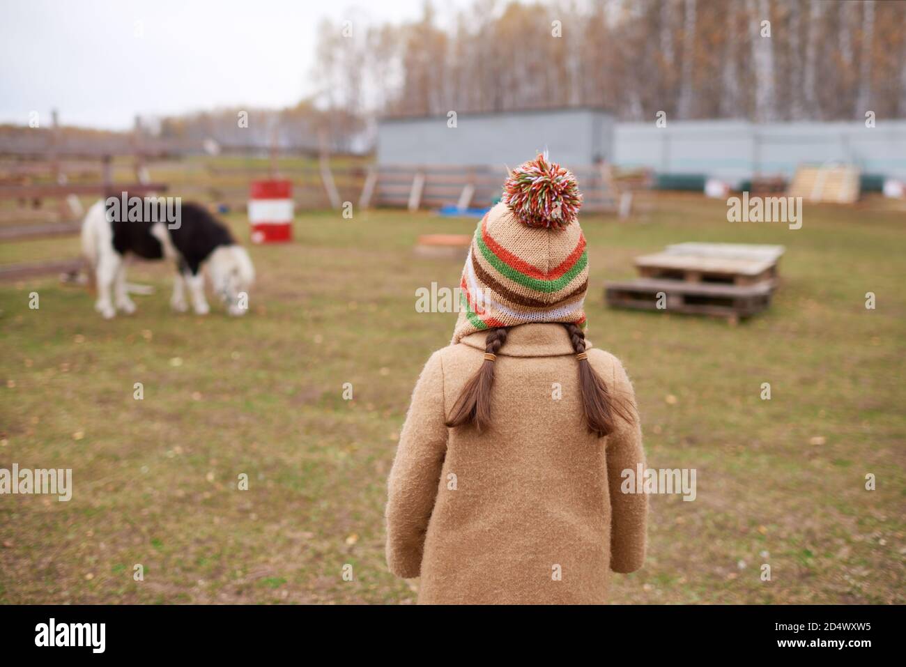 Unrecognizable Little Girl On Horse Farm Back View Stock Photo